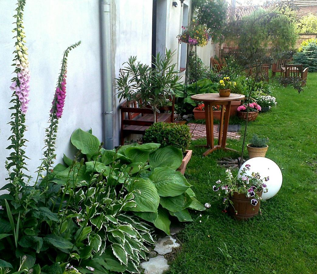 Guest House Wiejska Sielanka Brody (Zary) Exterior foto